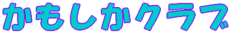Nu 
